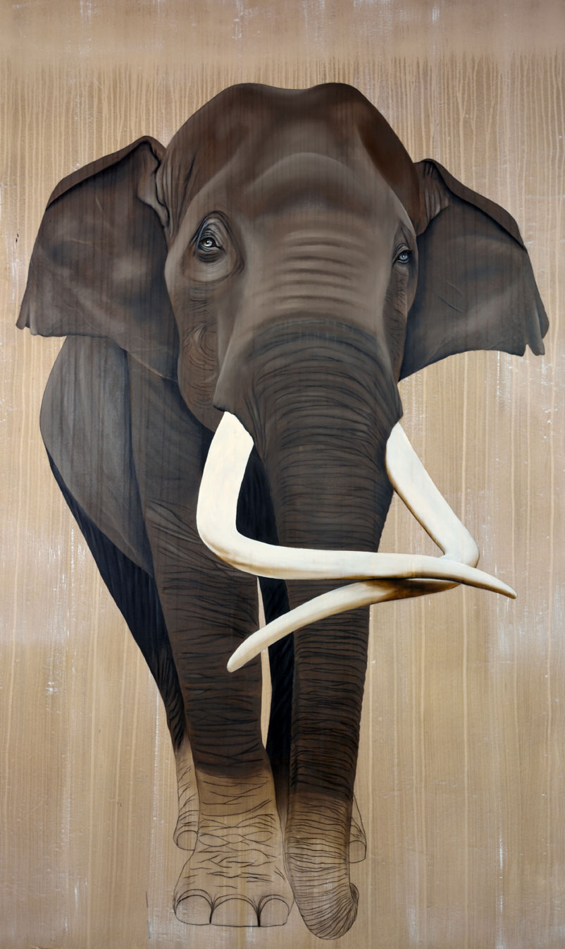 CFM INDOSUEZ elephas-maximus-elephant-d-asie-extinction-protégé-disparition- Thierry Bisch artiste peintre animaux tableau art  nature biodiversité conservation  